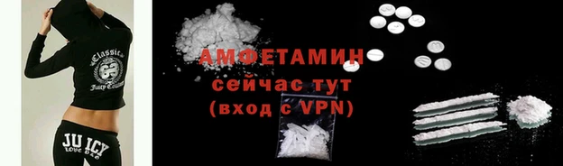 сатива Тобольск
