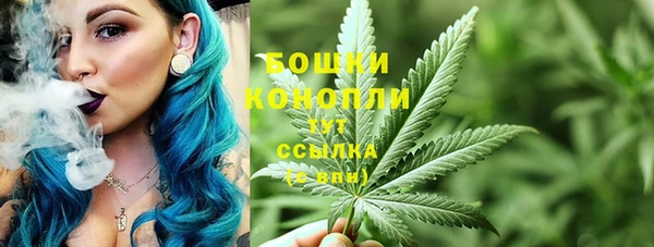 ешки Арсеньев