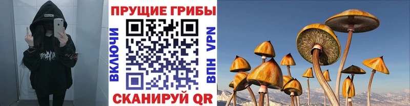 blacksprut tor  Лодейное Поле  Галлюциногенные грибы Psilocybine cubensis  где можно купить наркотик 